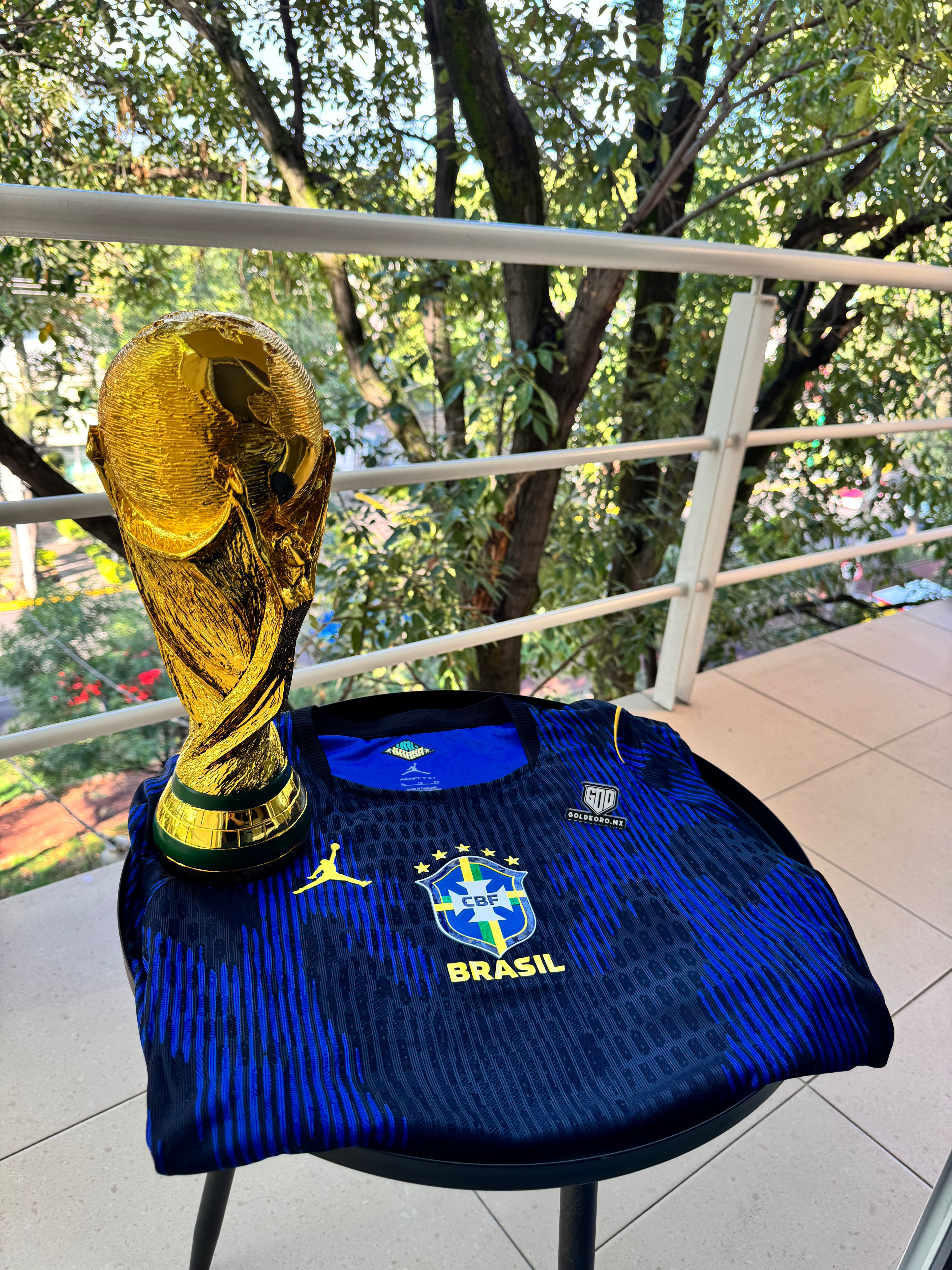 Trofeo Copa Mundial